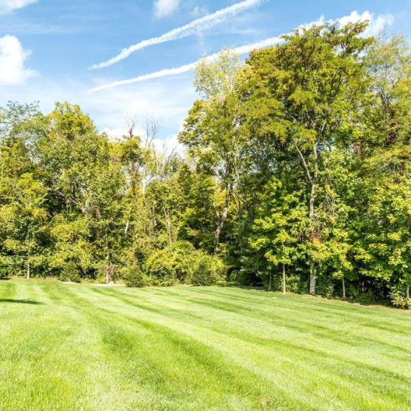 1650 Sherborne Back Yard 2