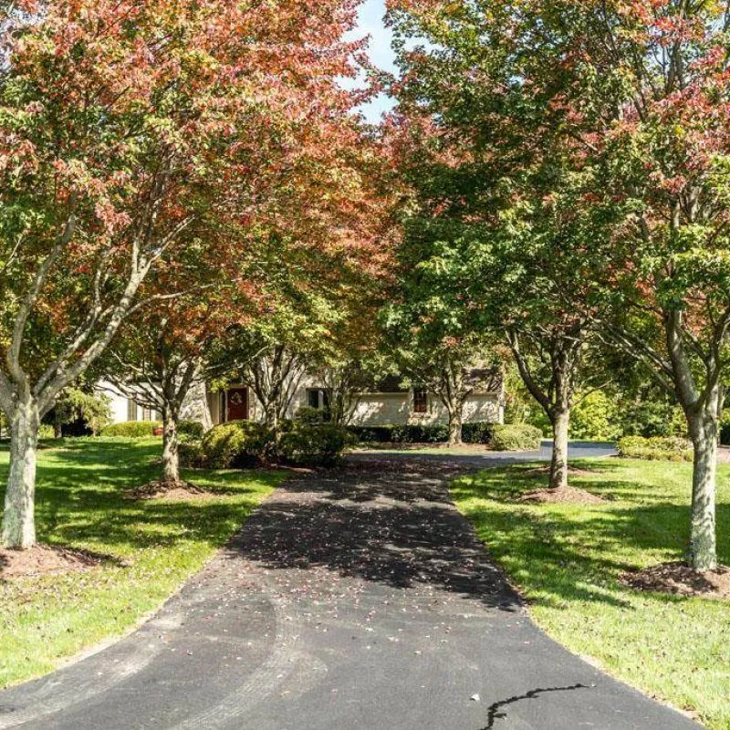 1650 Sherborne old front 4