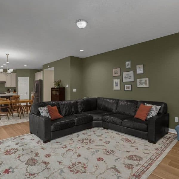 20-web-or-mls-162-silver-pne-ln