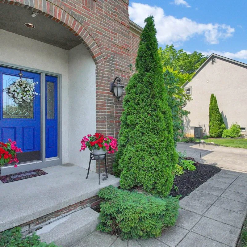 22-web-or-mls-295-woodsfield-ct