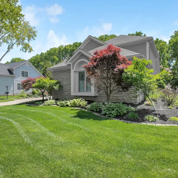 4-web-or-mls-4593-wuertz-ct